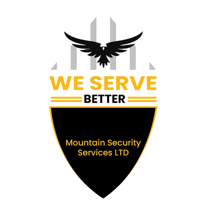 Mountain Security Logo